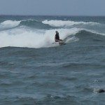 Bethany Hamilton at Flags